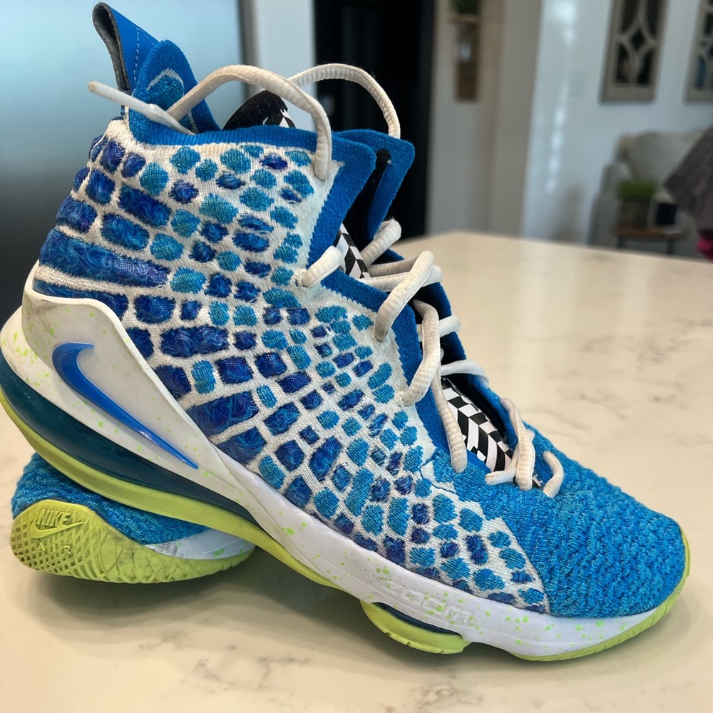 Boys Lebron Nike Shoes. Worn a couple times.